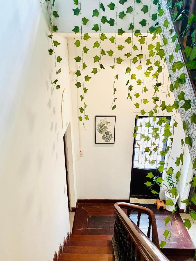 Tabi Homestay Hue Esterno foto